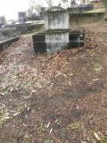 image of grave number 389706